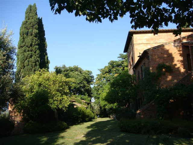 Country houses and Typical homes Tuscany Siena